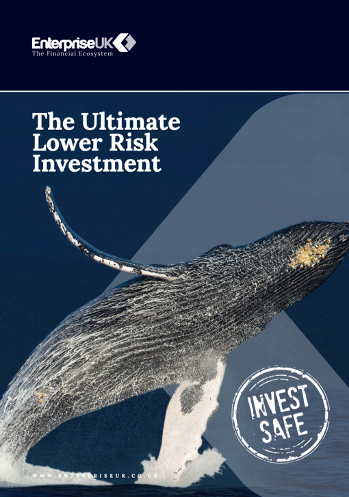The Ultimate Lower Risk investment
